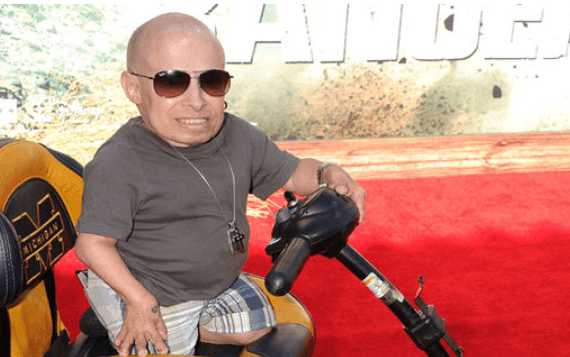 Verne Troyer Net Worth